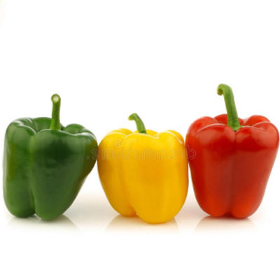 Bell Pepper